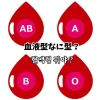 血液型なに型？ 혈액형 뭐야？