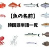 【魚の名前】韓国語単語一覧